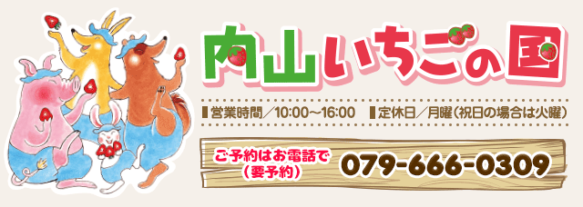 の 国 いちご 内山 ご利用料金